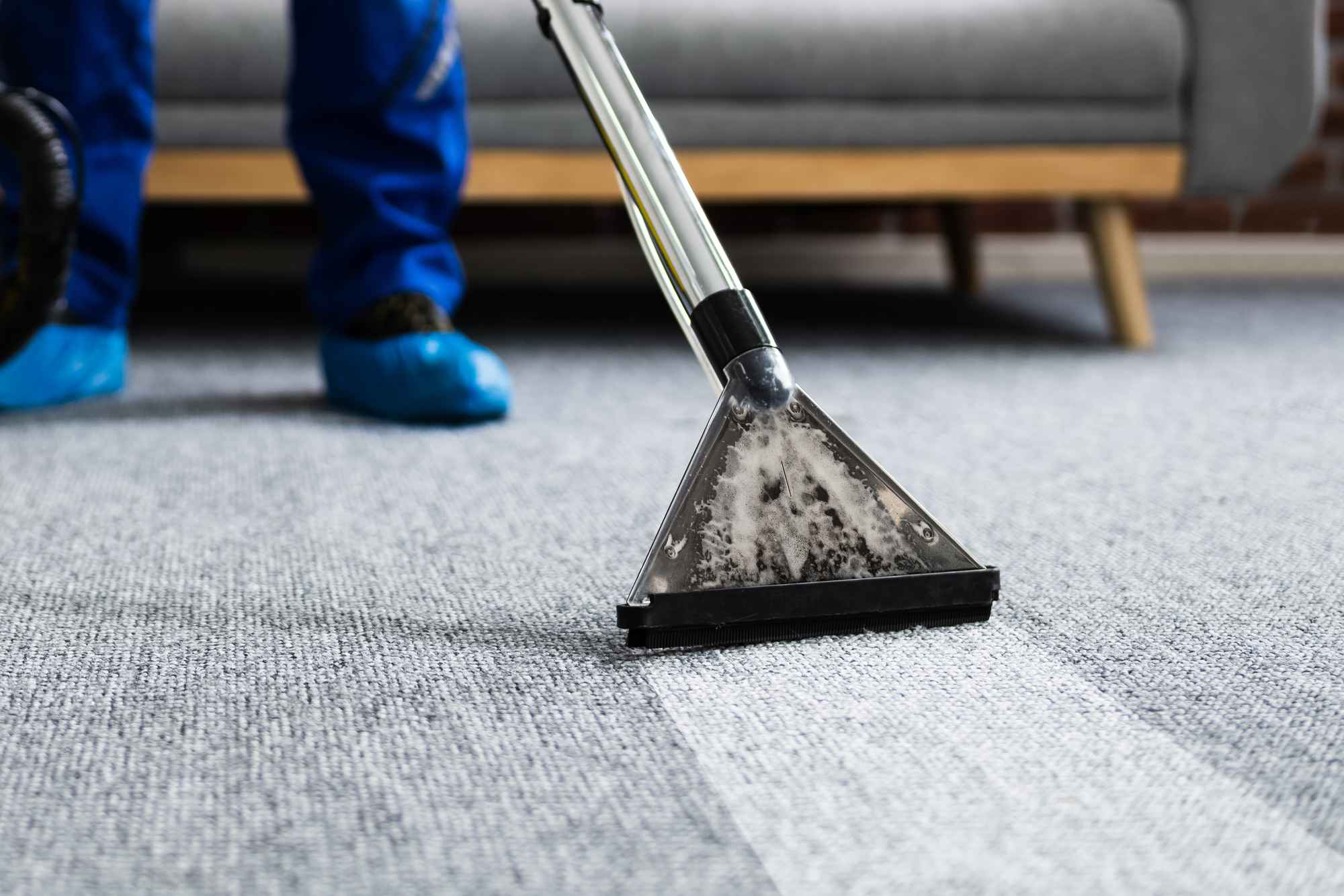 A professional cleaning a gray carpet.